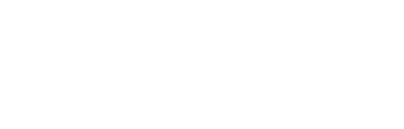 Vectoris Services